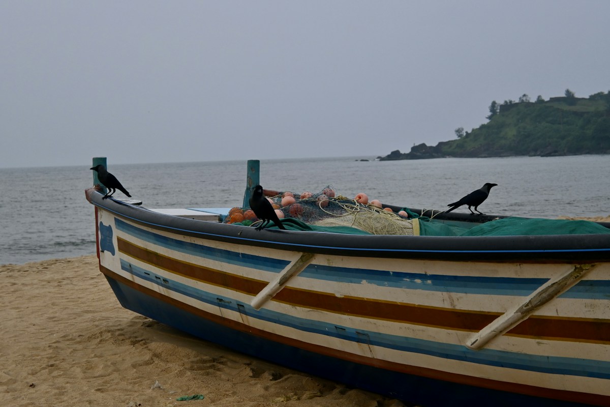 Fishing boats near a coastal community in Kasaragod, Kerala, used to illustrate coastal livelihoods